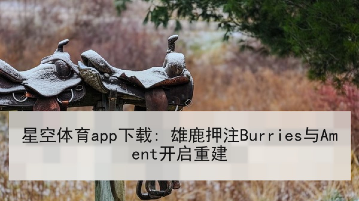星空体育app下载: 雄鹿押注Burries与Ament开启重建