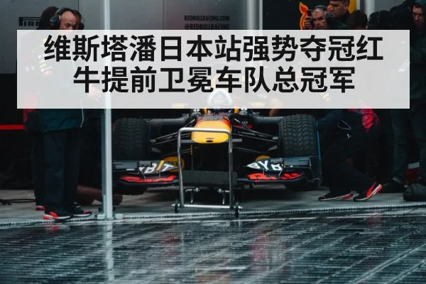 Max Verstappen Red Bull